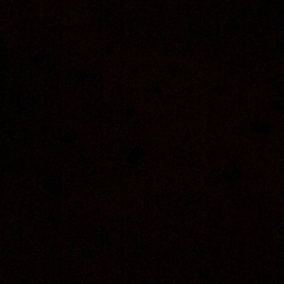 Meet your Posher, Ruby - Picture 1 of 1